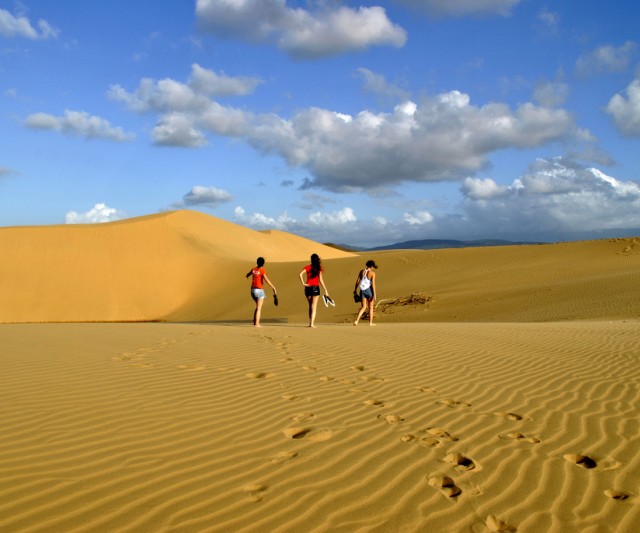 Desiertos Cerca Del Mar