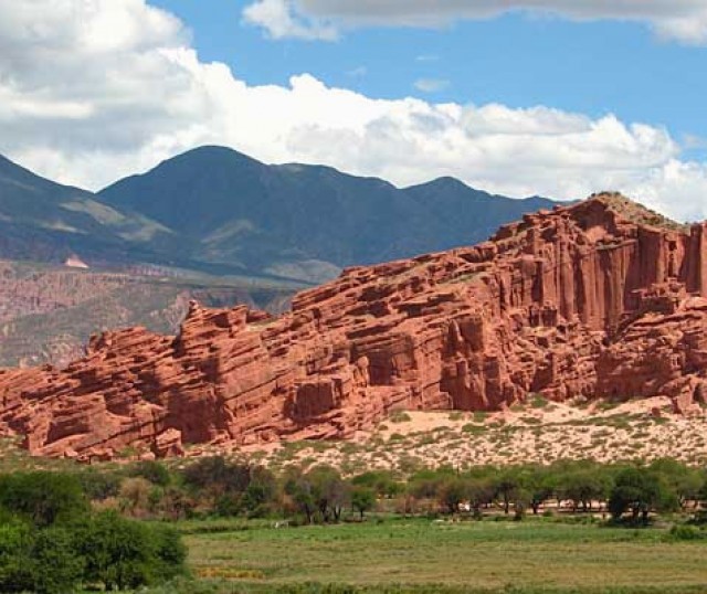 1-cafayate