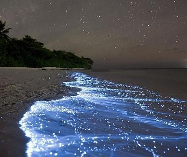 Una-playa-que-brilla-en-la-oscuridad