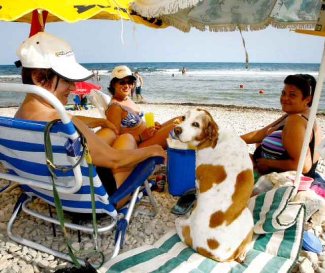 playas-de-espana-donde-puedes-llevar-tu-perro