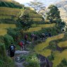 trekking-en-nepal