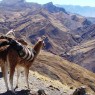 turismo-en-argentina