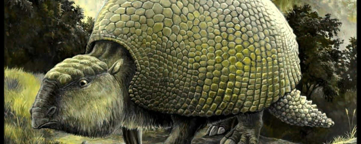 gliptodonte-en-uruguay.jpg