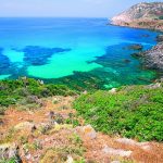 asinara.jpg