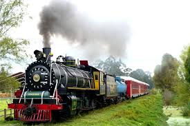 El-Tren-Turistico-de-la-Sabana.jpg