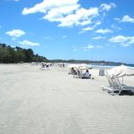 Un-paseo-por-Tamarindo.jpg