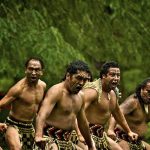 viviendo-la-Cultura-Maori.jpg