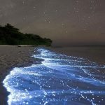Una-playa-que-brilla-en-la-oscuridad.jpg