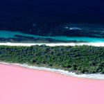 Hermoso-Lago-Rosa-Lake-Retba-Senegal.jpg