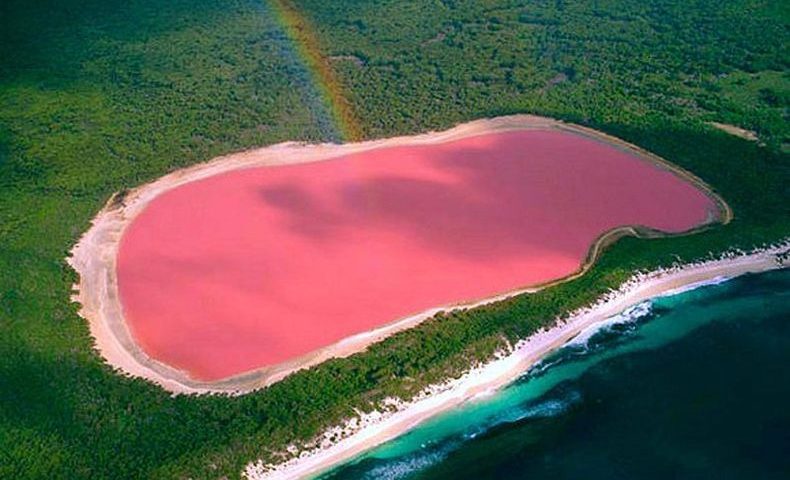 Hermoso_Lago_Rosa__Lake_Retba_Senegal.jpg
