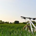 foto-destino-sustentable-medio-ambiente.jpg